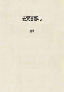 去雙喜那兒（“文學銀軍”叢書）