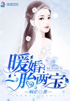 暖婚之一胎两宝在线阅读