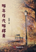 那年月光那樣美在線閱讀