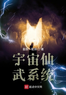 宇宙仙武系統