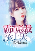 霸道总裁宠上天在线阅读