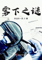 霧下之謎在線閱讀
