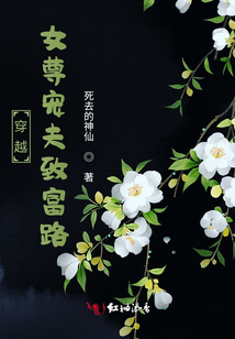 穿越女尊寵夫致富路