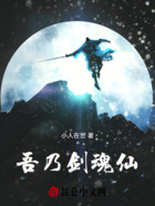 吾乃剑魂仙，跨界有何难在线阅读