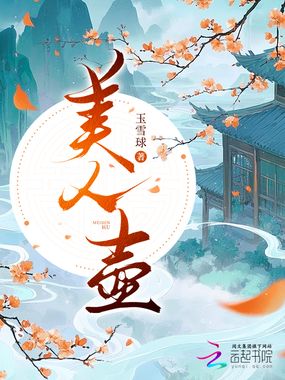 美人壶在线阅读