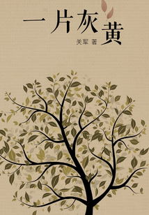 一片灰黄