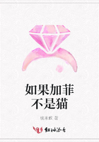 如果加菲不是貓?jiān)诰€閱讀