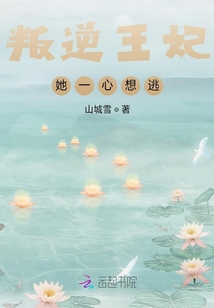 叛逆王妃她一心想逃