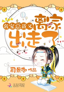 我家總裁又離家出走了
