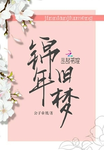 錦年舊夢