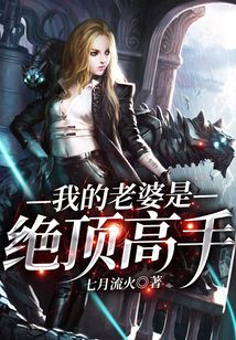 我的老婆是絕頂高手