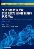 生活垃圾焚烧飞灰安全处置与资源化利用的风险评估在线阅读