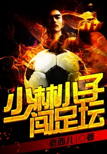 少林小子闖足壇