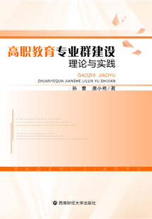 高職教育專業群建設理論與實踐