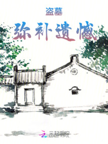 盜墓：彌補(bǔ)遺憾