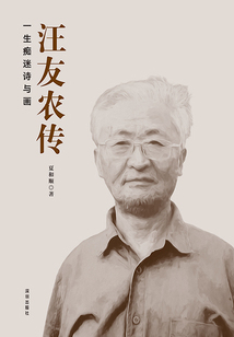 汪友農(nóng)傳