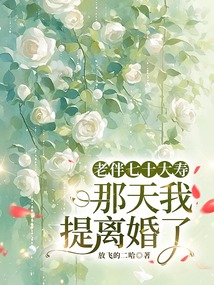老伴七十大寿那天我提离婚了在线阅读