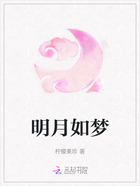 明月如梦在线阅读