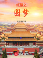 红楼之圆梦在线阅读