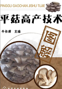平菇高产技术图解