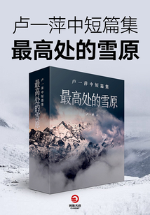 盧一萍中短篇集：最高處的雪原