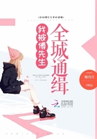 我被傅先生全城通緝在線閱讀