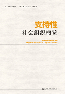 支持性社会组织概览