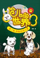 哈兒的世界（第二部）：神秘的闖入者在線閱讀