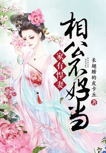 家有悍妻：相公不好當