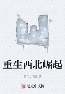 重生西北崛起