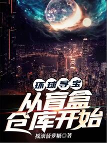 环球寻宝:从盲盒仓库开始在线阅读