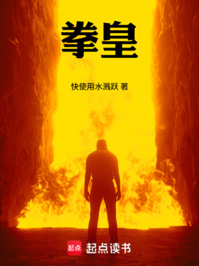 拳皇！在线阅读