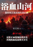 浴血山河:国民党正面战场抗战纪实4·守与攻在线阅读