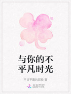 与你的不平凡时光在线阅读