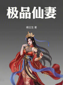 極品仙妻