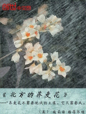 北方的荞麦花在线阅读