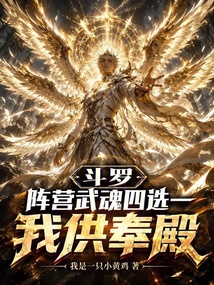 斗罗:阵营武魂四选一,我供奉殿 封面