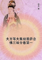 大方等大集經(jīng)菩薩念佛三昧分卷第一在線(xiàn)閱讀