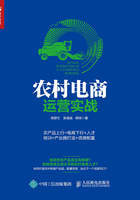 农村电商运营实战：农产品上行+电商下行+人才培训+产业园打造+资源配置在线阅读