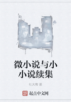 微小說與小小說續集在線閱讀