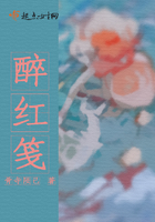 醉紅箋在線閱讀