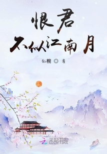 恨君不似江南月