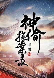 神偷探案錄