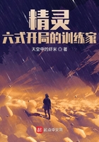 精灵:六式开局的训练家