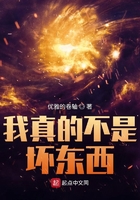 我真的不是坏东西在线阅读