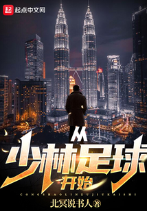 从少林足球开始在线阅读