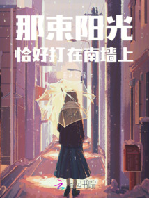那束陽光恰好打在南墻上