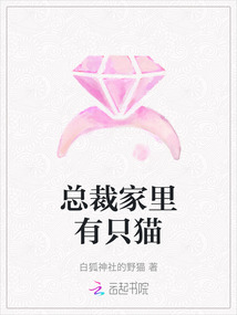 總裁家里有只貓