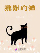 挑剔的猫