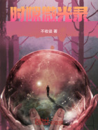 时隙微光录在线阅读